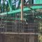 bridge scaffolding